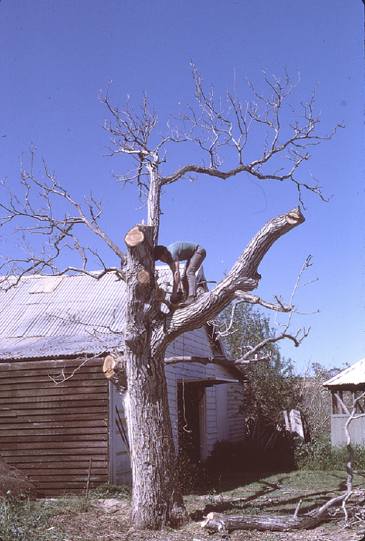 Early stockwood production photograph from the Roger Vardy archive